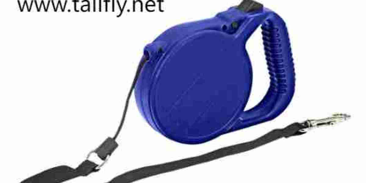 Pet Leashes Reimagined: Luxury Design for Modern Pet Owners