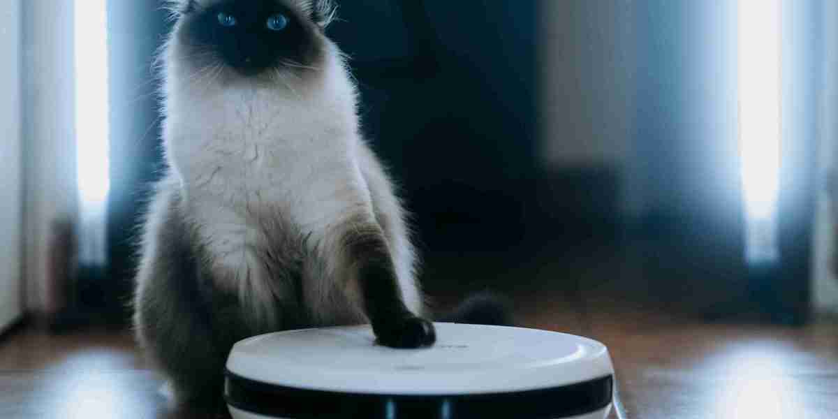 The 10 Scariest Things About Automated Vacuum Cleaner