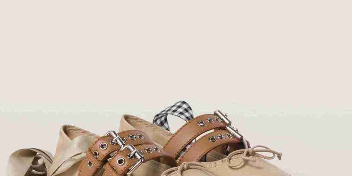Most Popular Models Miu Miu Outlet