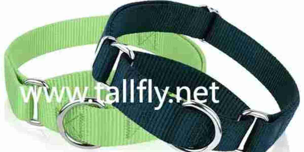 Why Urban Pet Owners Are Switching to Sustainable Collars