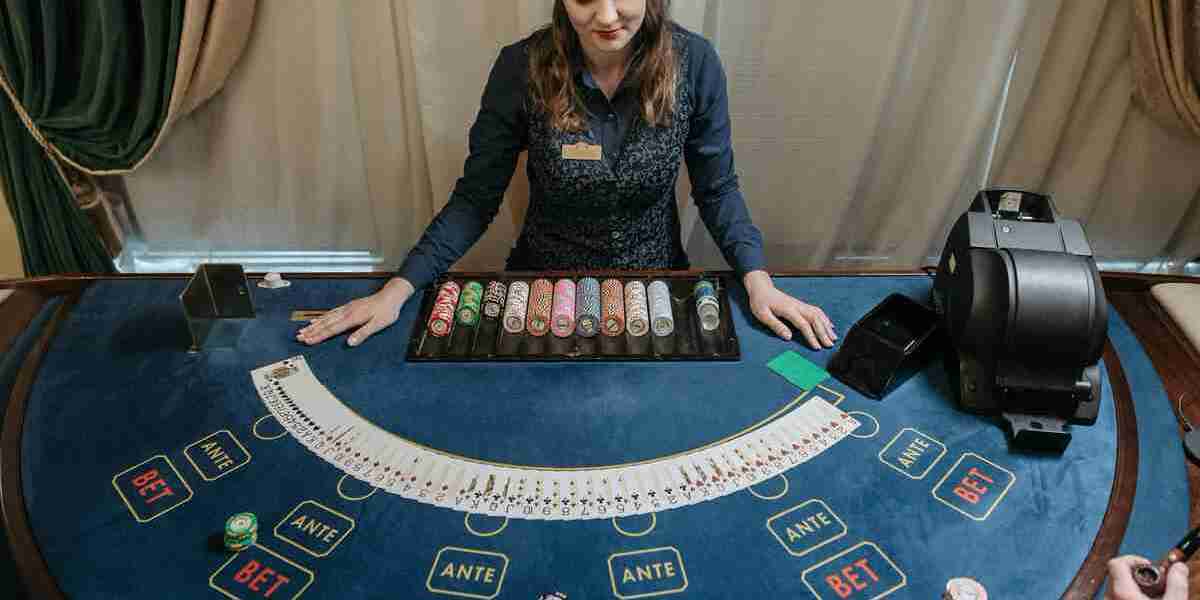 Discovering the Truth: The Evolution Casino Scam Verification Community at Inavegas
