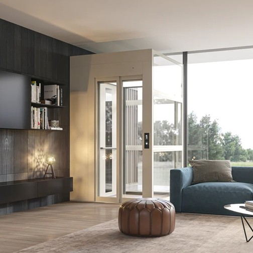 Why Pet-Friendly Home Lifts Are a Must in 2025