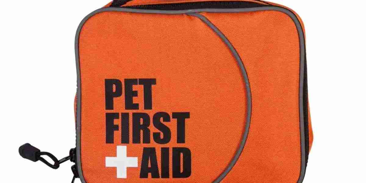 Reliable First Aid Bag Options Available At YonoelFirstAid Website