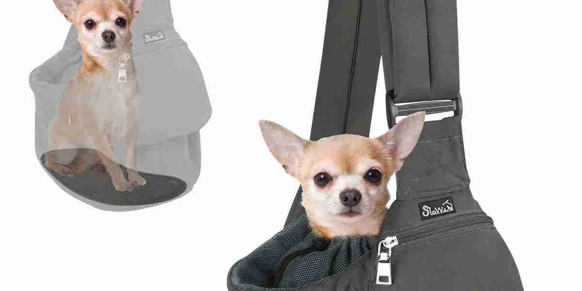 Pawtechpet Pet Carriers:Designed for Moments That Move