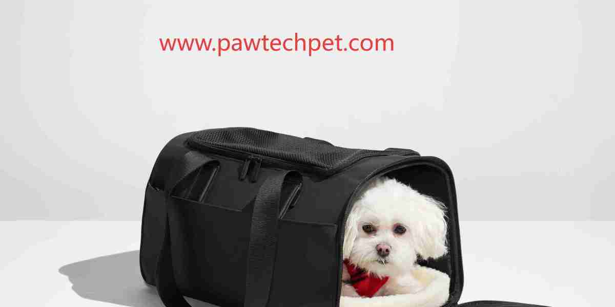 Why Pawtechpet Pet Carriers Are a Must for On-the-Go Owners?