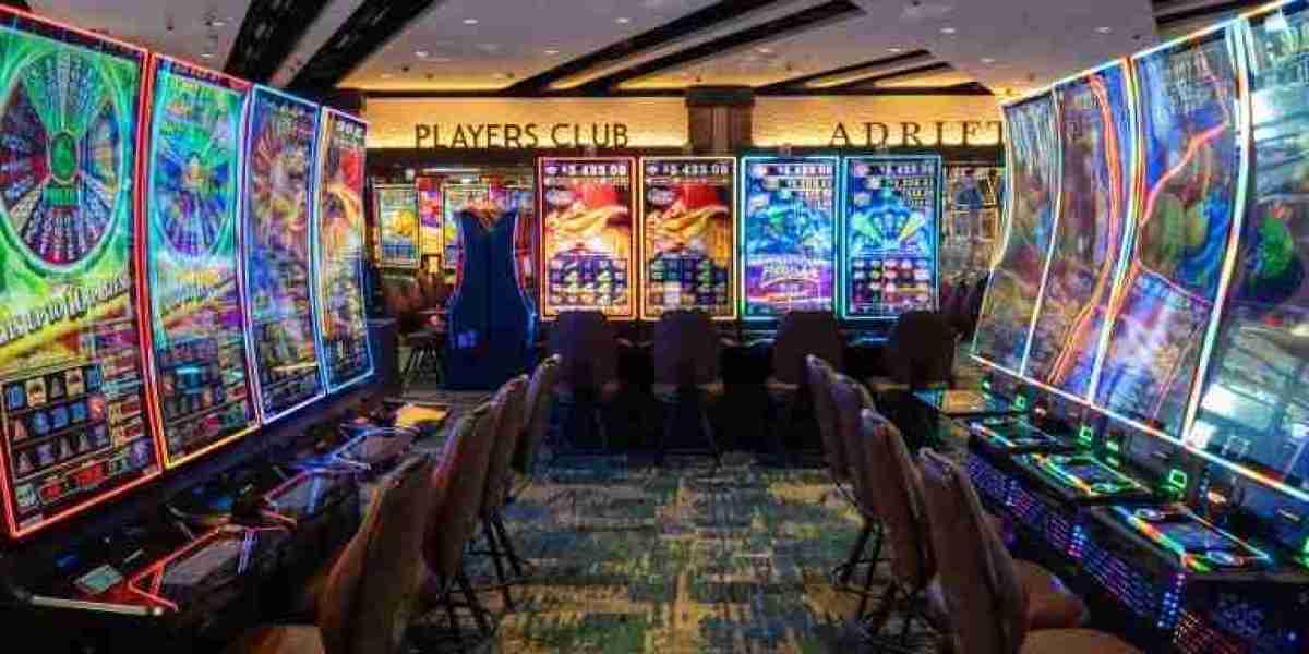 テッドベット Bettingu Promotion 101